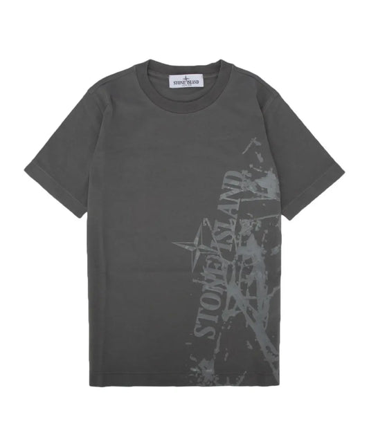Tshirt Stone Island